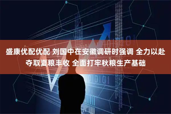 盛康优配优配 刘国中在安徽调研时强调 全力以赴夺取夏粮丰收 全面打牢秋粮生产基础
