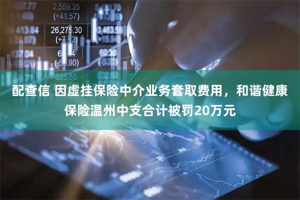 配查信 因虚挂保险中介业务套取费用，和谐健康保险温州中支合计被罚20万元