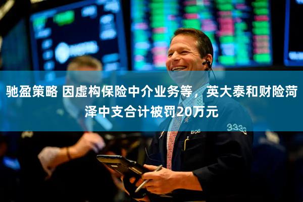 驰盈策略 因虚构保险中介业务等，英大泰和财险菏泽中支合计被罚20万元