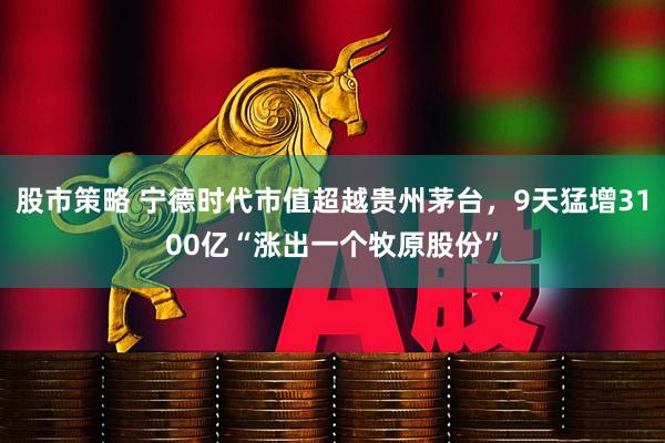 股市策略 宁德时代市值超越贵州茅台，9天猛增3100亿“涨出一个牧原股份”