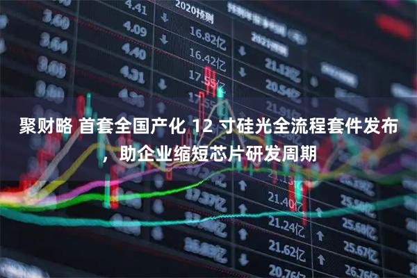聚财略 首套全国产化 12 寸硅光全流程套件发布，助企业缩短芯片研发周期